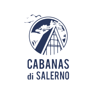 logo diSalerno sem fundo .png